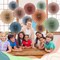 18 Pcs Calming Hanging Paper Fans Decor Back to School Paper Fans Round Garlands Bulletin Board Classroom Decorations for Party